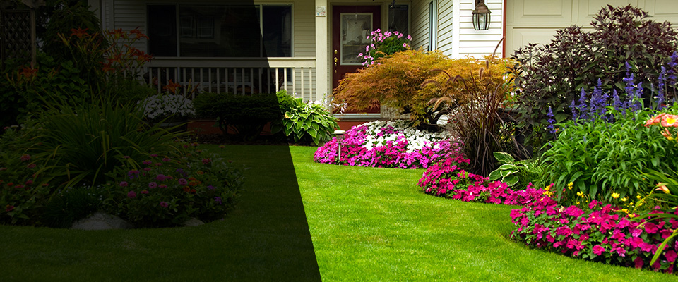 Falfurrias Landscapers