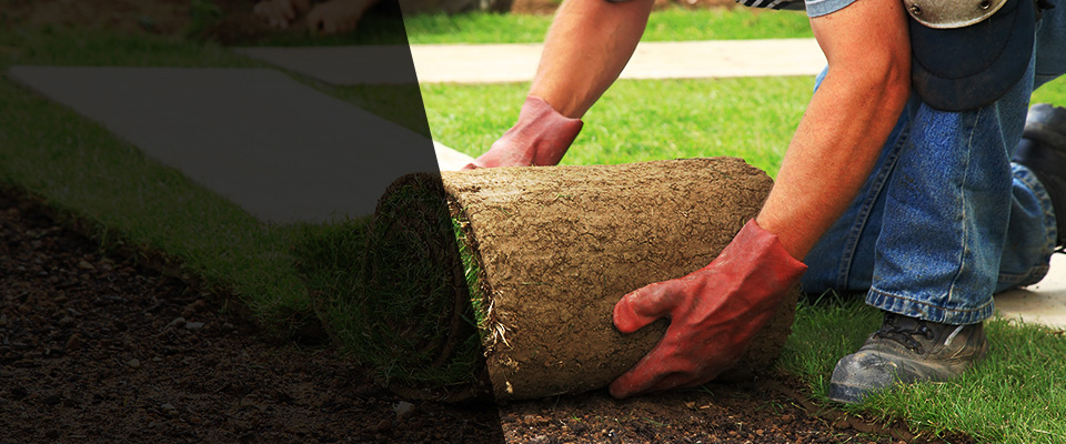 Falfurrias Landscapers